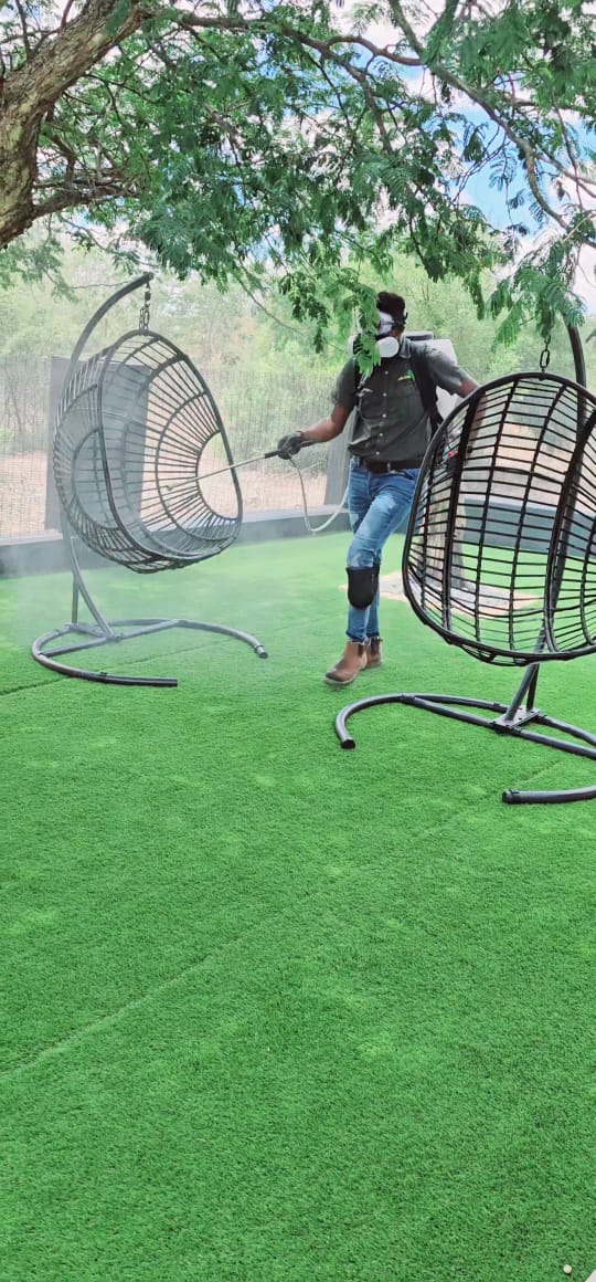 Pest Control Service